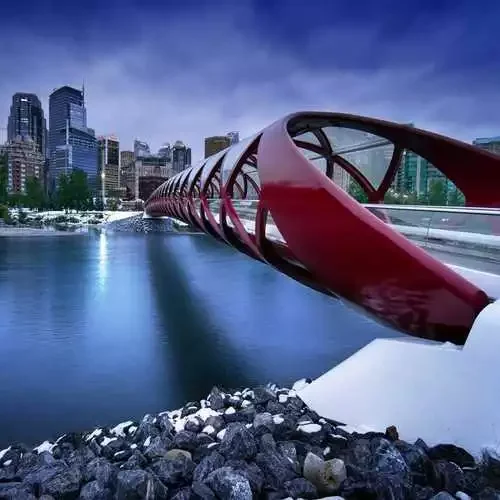 calgary new listings